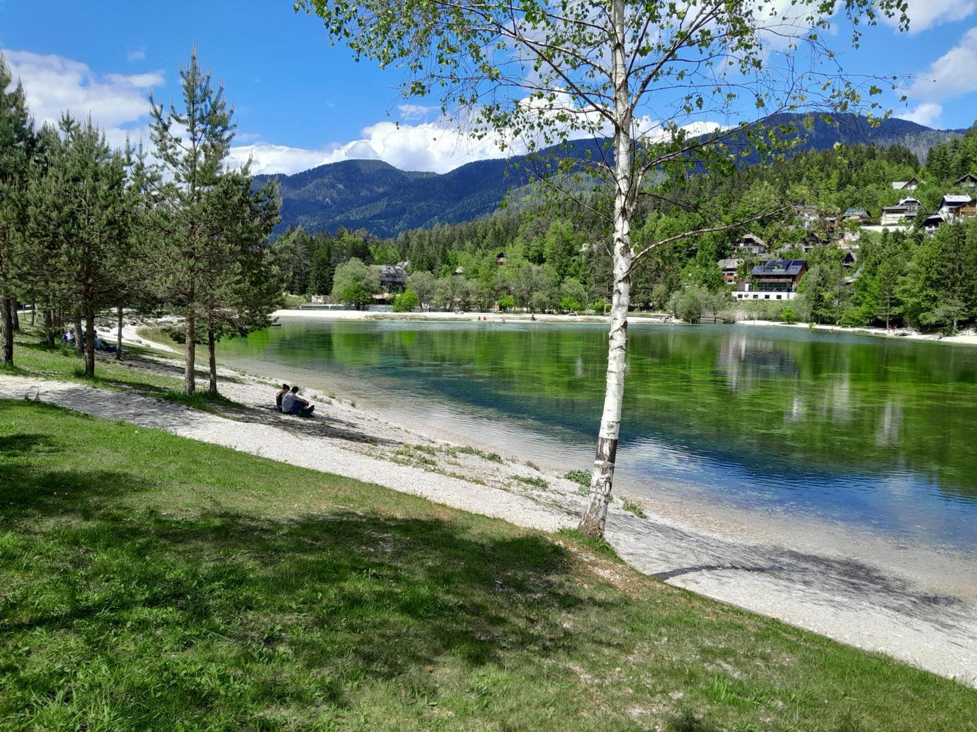 Les Chalet Kranjska Gora I Dış mekan fotoğraf